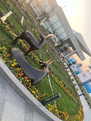 WhatsApp Image 2025-09-22 at 12.36.06 PM (1)