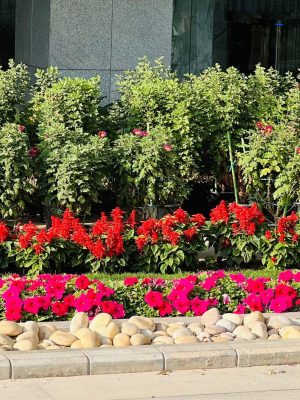 WhatsApp Image 2025-09-22 at 12.36.07 PM (1)