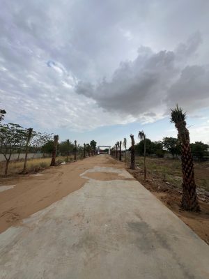 WhatsApp Image 2025-09-22 at 12.36.07 PM (2)