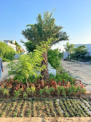 WhatsApp Image 2025-09-22 at 12.36.07 PM