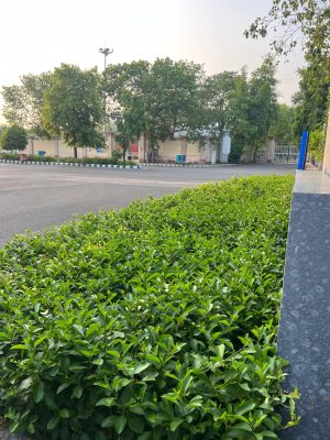 WhatsApp Image 2025-09-22 at 12.36.08 PM (1)