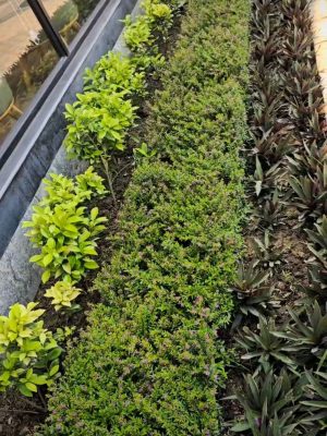 WhatsApp Image 2025-09-22 at 12.36.08 PM