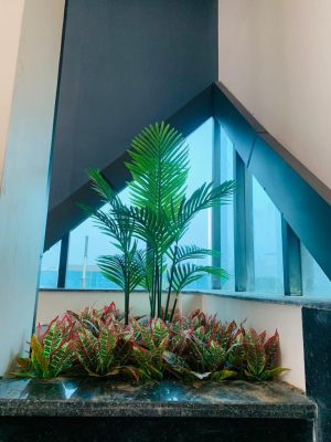 WhatsApp Image 2025-09-22 at 2.42.07 PM (3)