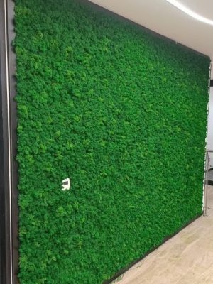 WhatsApp Image 2025-09-22 at 2.42.07 PM (4)