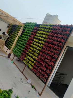 WhatsApp Image 2025-09-22 at 2.42.07 PM (5)