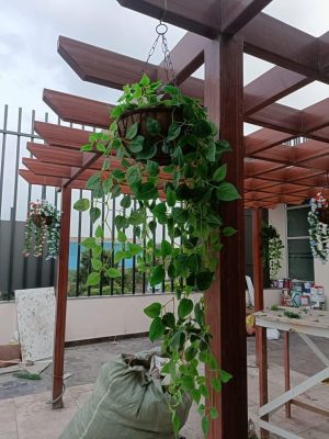 WhatsApp Image 2025-09-22 at 2.42.08 PM (1)