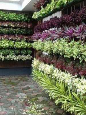 WhatsApp Image 2025-09-22 at 2.42.08 PM